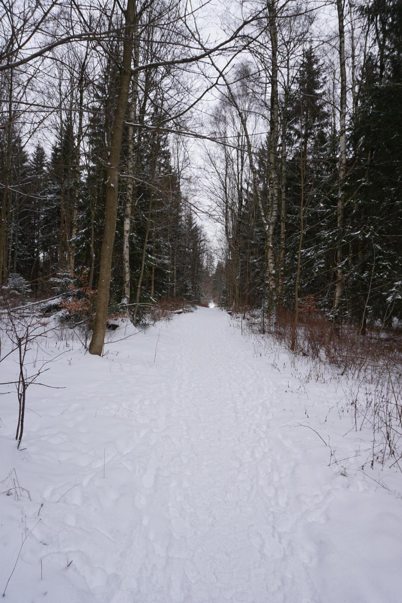 Muggelbude Im Harz Braunlage Luaran gambar